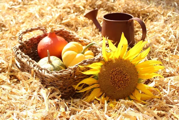 Vintage Harvest Festival Postcard
