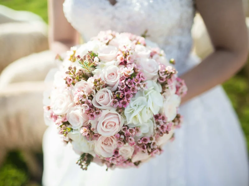 Casual Backyard Wedding Script