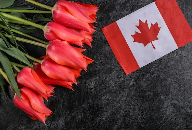 Practical Guide to a Memorable Canada Day