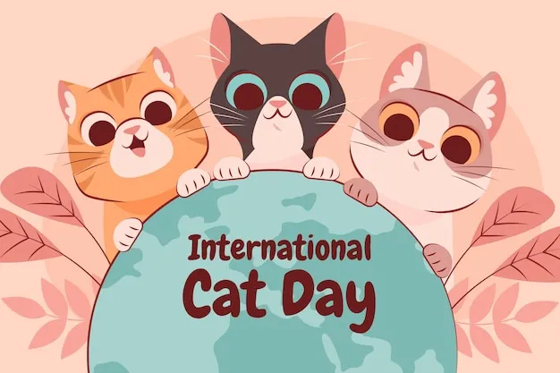 Kind Words for Cat Shelter Volunteers