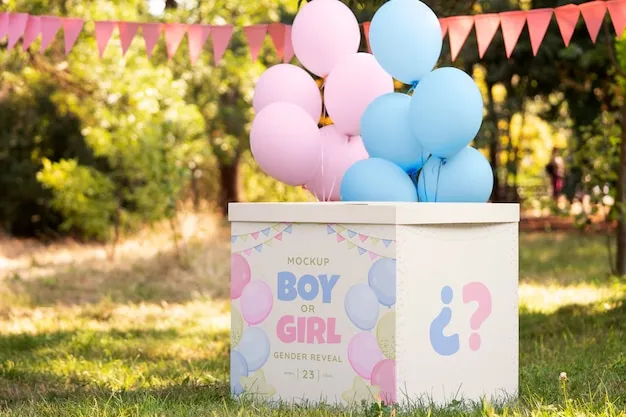 Elegant Host Speech for Gender Reveal