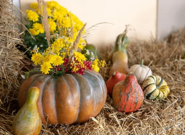 Funny Harvest Festival Pun Card